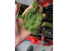供应稻麦秸秆铡草粉碎揉草组合机图2