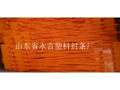 厢式货车封条锁图1