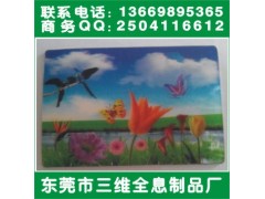 3D光栅片图案变化、油墨技术防伪、2D光栅片图2