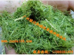 供应广西大产量青贮铡草揉丝机图2