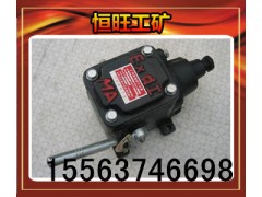 BAX1(GX-1)隔爆型拉点器    厂家生产图1