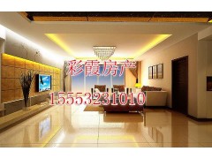 彩霞房产专业出租个户型房屋图1