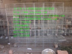供三层十二位兔子笼 三层十八位兔笼 三层九位兔笼 鸡鸽兔笼图2