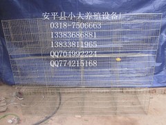 供三层十二位兔子笼 三层十八位兔笼 三层九位兔笼 鸡鸽兔笼图3