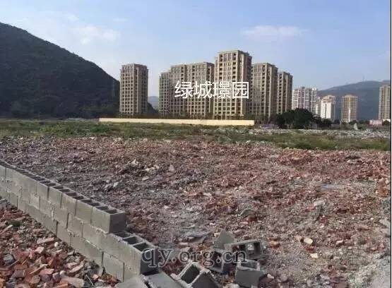 温州下沙塘村拆迁改造项目