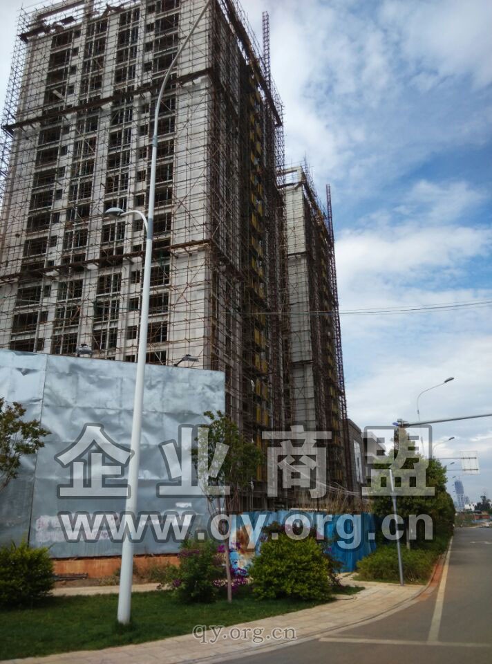 奥宸中央广场烂尾楼(图2)