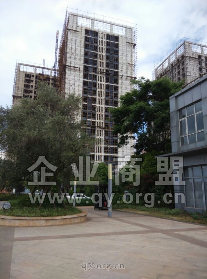 奥宸中央广场烂尾楼(图3)